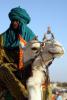 <em />Tuaregs flee Mali