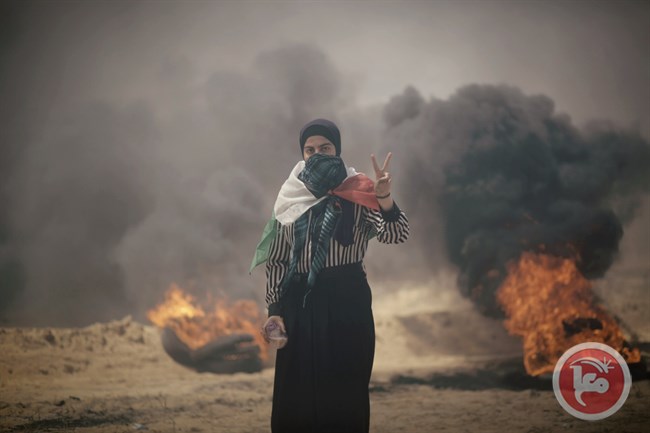 Gaza protester