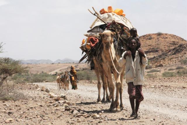 El Niño and Ethiopia's threatened pastoraists